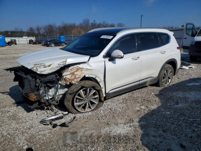 Hyundai Santa fe 2020 5NMS33AD8LH137940