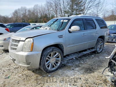 Cadillac Escalade 2012 1GYS4CEF2CR307885