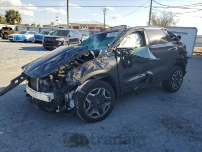 Hyundai Santa fe 2023 5NMS4DAL1PH598557