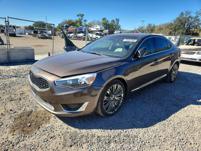 Kia Cadenza 2014 VIN KNALN4D70E5148931