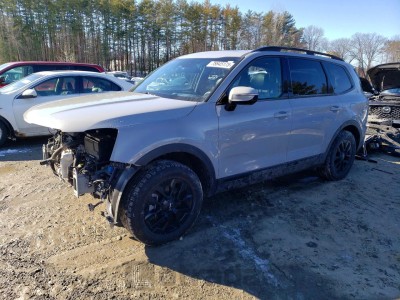 Kia Telluride 2024 VIN 5XYP5DGC2RG512910