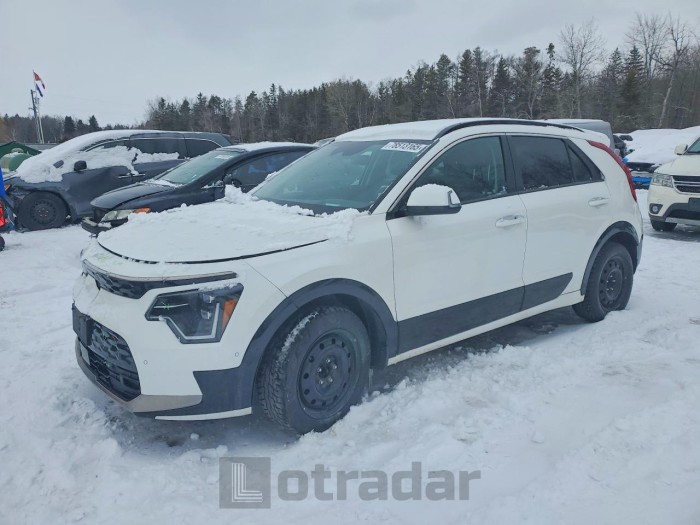 Kia Niro 2023 VIN KNDCT3L15P5072013