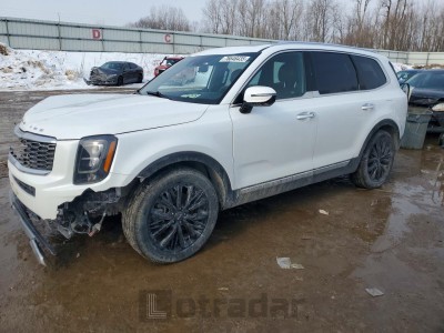 Kia Telluride 2020 VIN 5XYP5DHCXLG043278