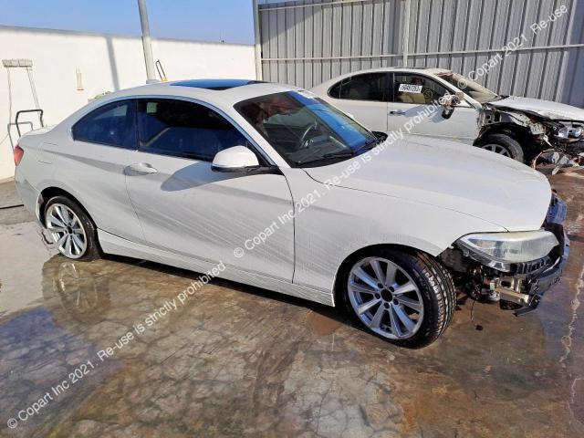 BMW 228I 2015 VIN WBA1F5C5XFV256453
