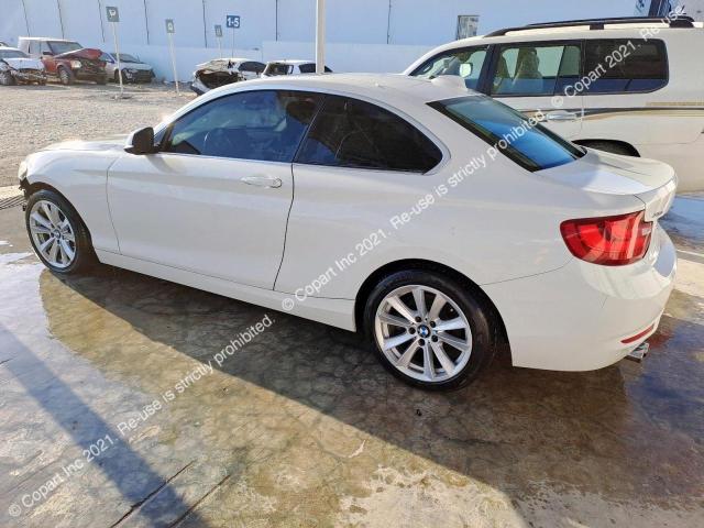 BMW 228I 2015 VIN WBA1F5C5XFV256453 фото 16