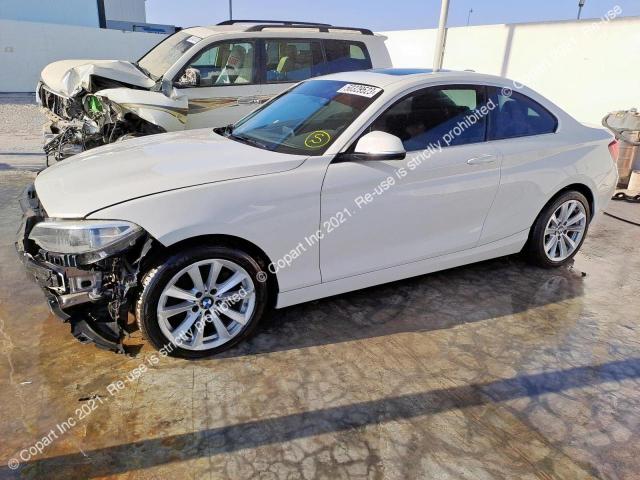 BMW 228I 2015 VIN WBA1F5C5XFV256453 фото 26