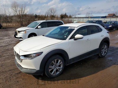 Mazda Cx-30 2021 VIN 3MVDMBBLXMM318220