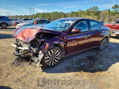 Nissan Altima 2023 1N4BL4DV8PN360245