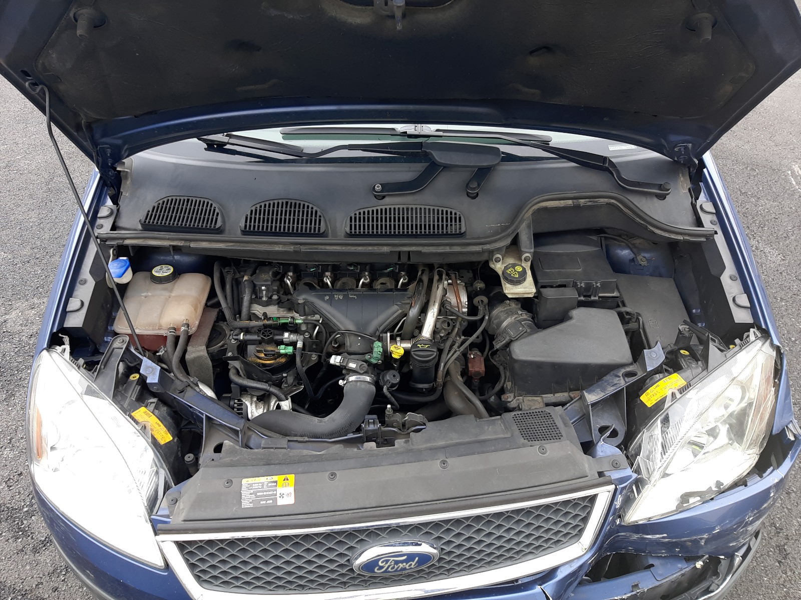 Ford Focus C-MAX 2005 VIN WF0MXXGCDM5G00570 фото 7