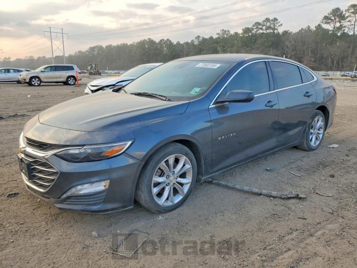 Chevrolet Malibu 2019 VIN 1G1ZD5ST2KF127521