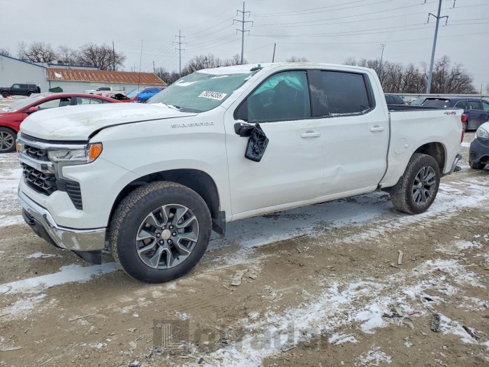 Chevrolet Silverado 2024 VIN 1GCPDKEK2RZ123204