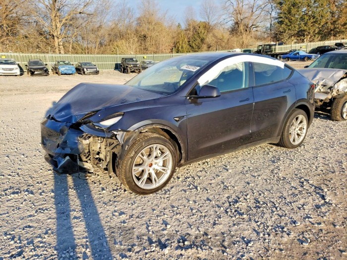 Tesla Model y 2024 VIN 7SAYGDEE0RA245647