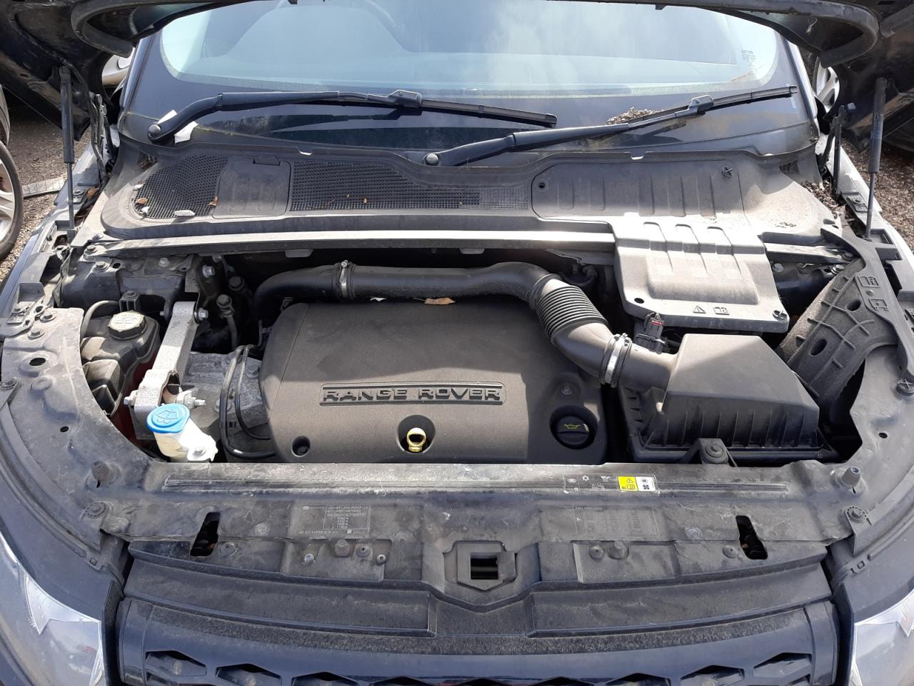 LAND ROVER RANGE ROVE 2013 VIN SALVA2AE6DH805767 фото 7