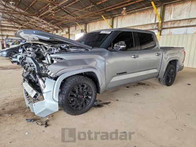 Toyota Tundra 2022 VIN 5TFLA5DB1NX044266