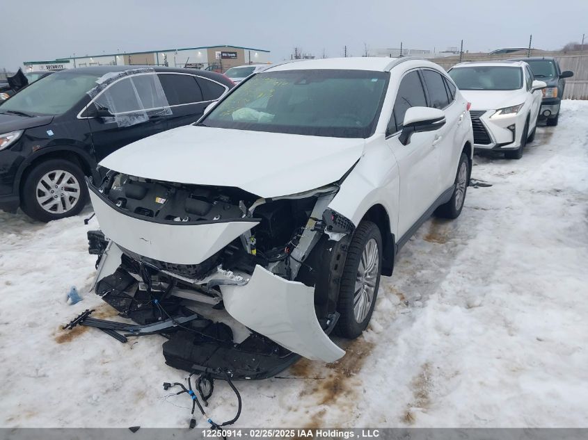 TOYOTA VENZA 2024 VIN JTEAAAAH8RJ182917 фото 2