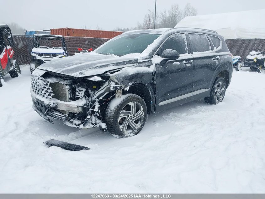 HYUNDAI SANTA FE 2023 VIN 5NMS3DAJ1PH630523 фото 2