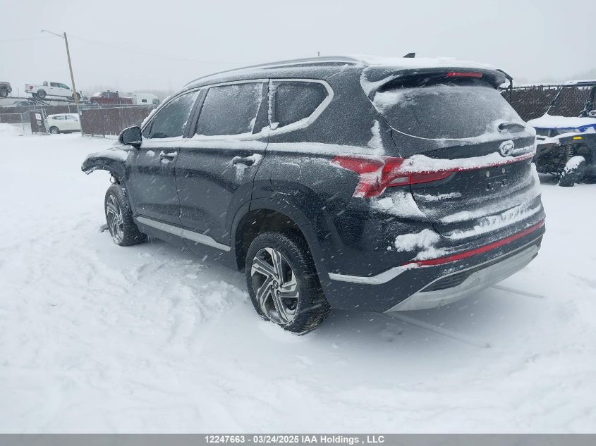 HYUNDAI SANTA FE 2023 VIN 5NMS3DAJ1PH630523 фото 3