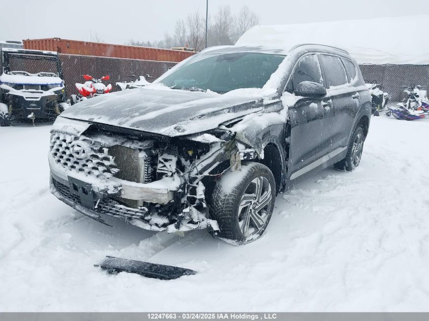 HYUNDAI SANTA FE 2023 VIN 5NMS3DAJ1PH630523 фото 6