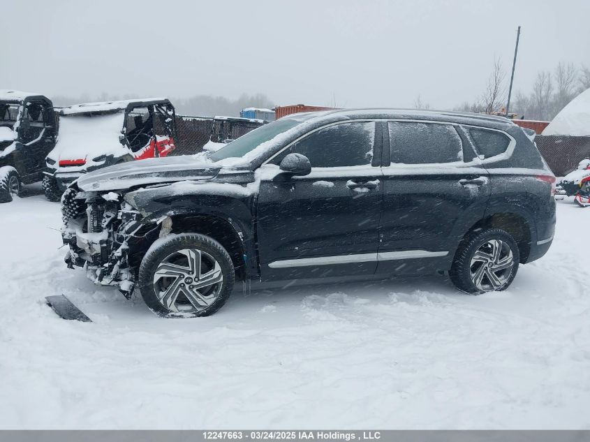 HYUNDAI SANTA FE 2023 VIN 5NMS3DAJ1PH630523 фото 15