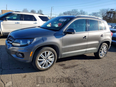 Volkswagen Tiguan 2015 WVGBV7AX7FW544933