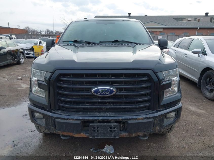 FORD F-150 2016 VIN 1FTEW1EP6GFD22939 фото 12