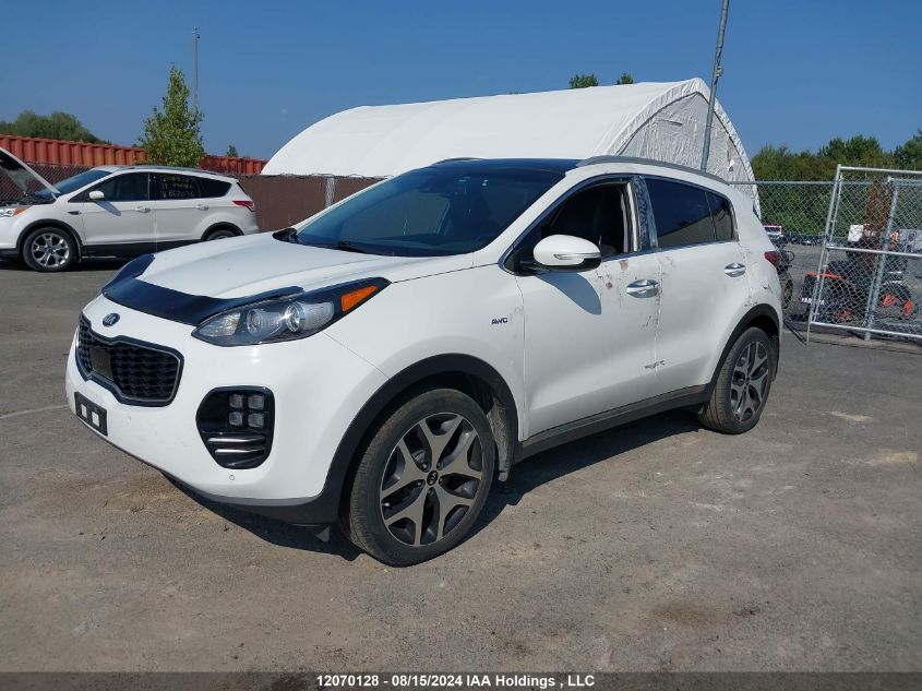 KIA SPORTAGE 2017 VIN KNDPRCA60H7282491 фото 2