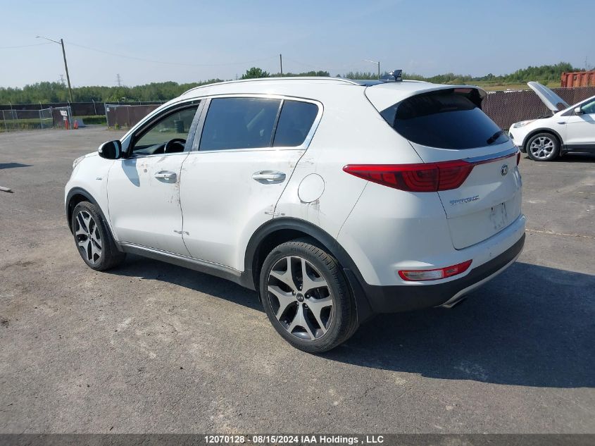 KIA SPORTAGE 2017 VIN KNDPRCA60H7282491 фото 3