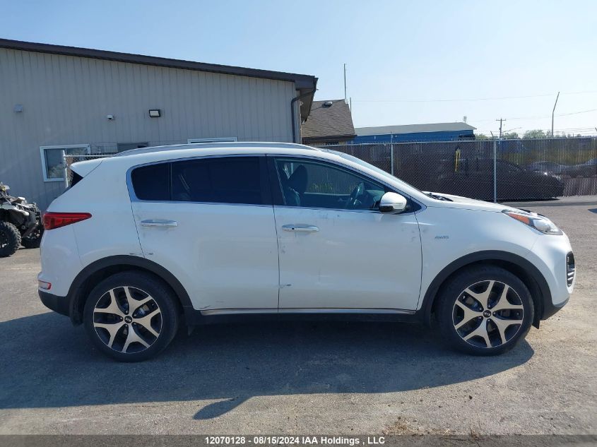 KIA SPORTAGE 2017 VIN KNDPRCA60H7282491 фото 12