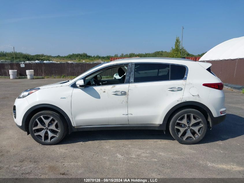 KIA SPORTAGE 2017 VIN KNDPRCA60H7282491 фото 13