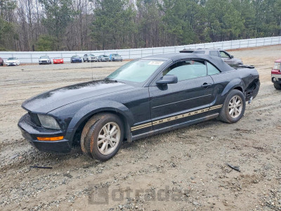 Ford Mustang 2008 1ZVHT84N885190284