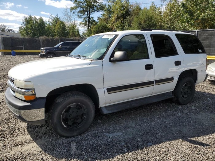 Chevrolet Tahoe 2005 VIN 1GNEC13V25R232233