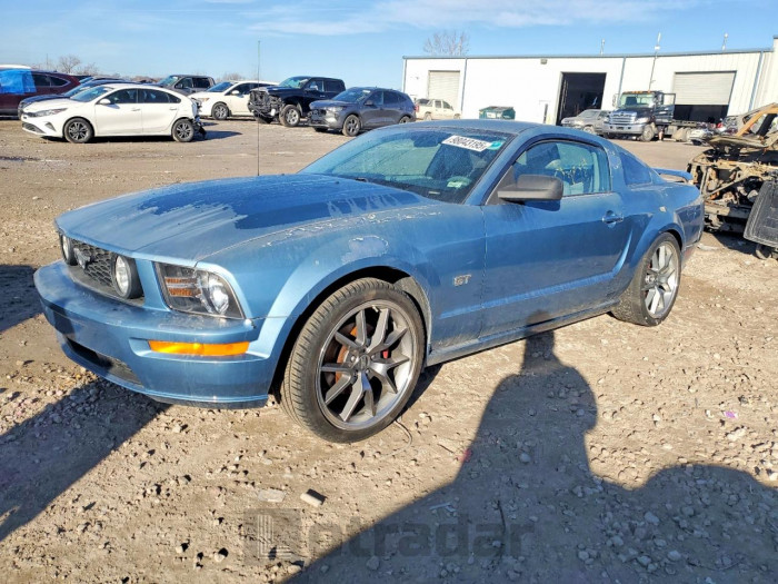 Ford Mustang 2007 VIN 1ZVFT82H675207036
