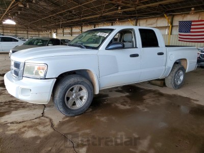 Dodge Dakota 2008 1D7HE48N78S535831