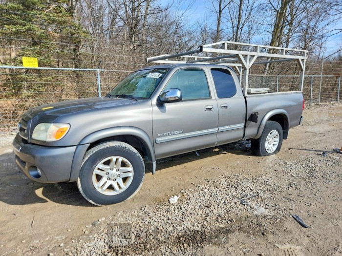 Toyota Tundra 2006 VIN 5TBRT34126S473349