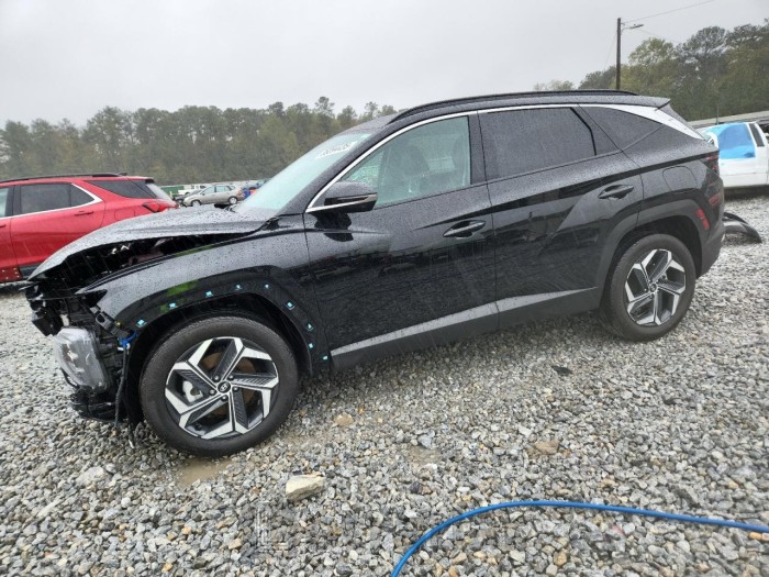 Hyundai Tucson 2024 VIN KM8JECD10RU189499