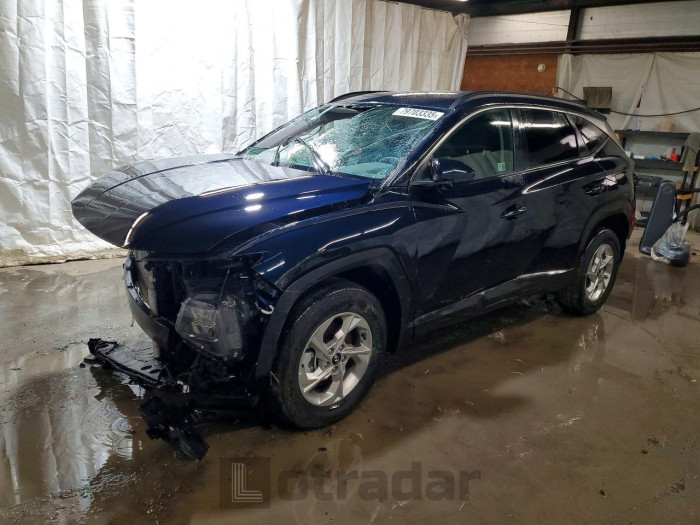 Hyundai Tucson 2024 VIN KM8JBCDE1RU312979