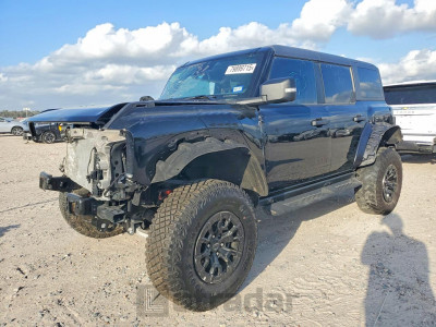 Ford Bronco 2024 1FMEE0RR8RLA38284