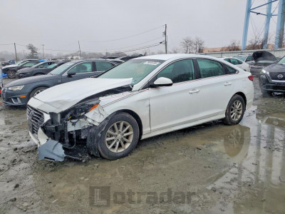 Hyundai Sonata 2019 5NPE24AFXKH818044