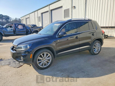 Volkswagen Tiguan 2013 WVGBV3AX6DW613729