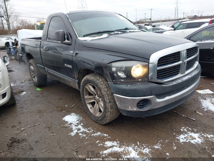 Dodge Ram 2008 VIN 1D7HA16K28J234828