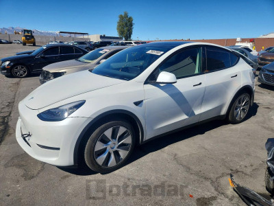Tesla Model y 2021 5YJYGDEE4MF142658