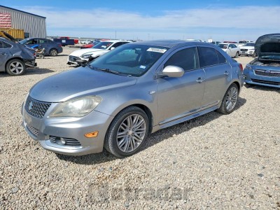 Suzuki Kizashi 2011 JS2RE9A66B6110301