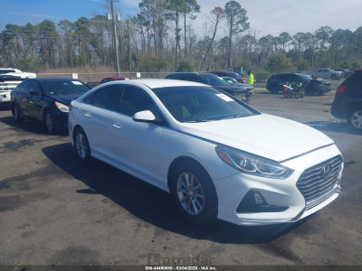 Hyundai Sonata 2019 5NPE24AF8KH776067
