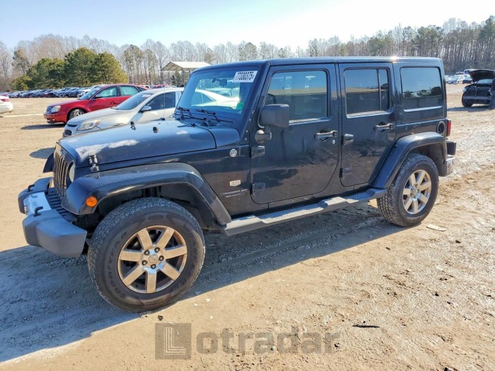 Jeep Wrangler / 2011 VIN 1J4HA7H17BL590957