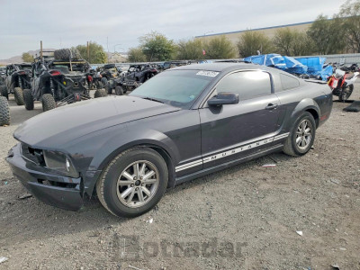 Ford Mustang 2007 1ZVFT80N575288104