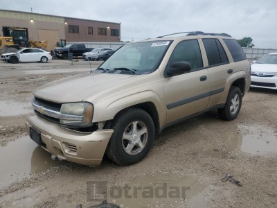 Chevrolet Trailblazer 2005 1GNDT13SX52287135