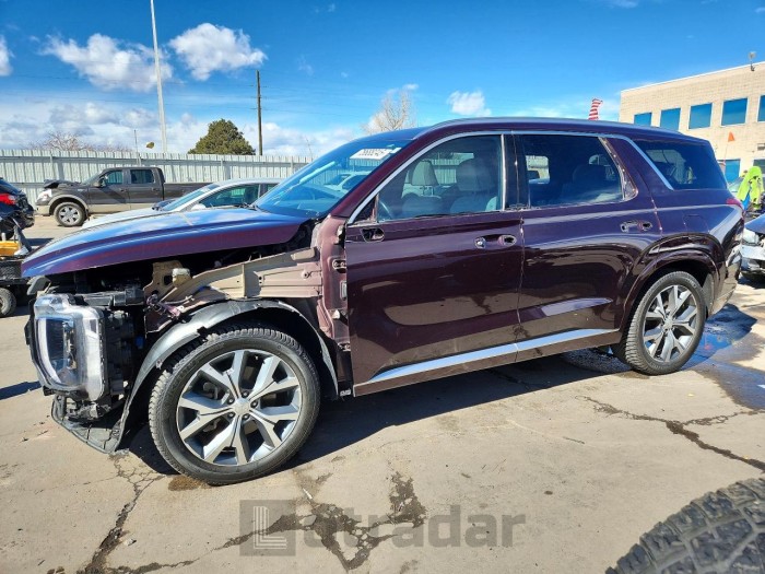 Hyundai Palisade 2021 VIN KM8R5DHE0MU243818