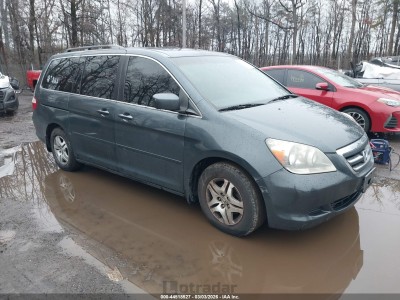 Honda Odyssey 2005 VIN 5FNRL38625B406606