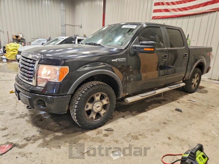 Ford F-150 2010 VIN 1FTFW1EV4AFC61004