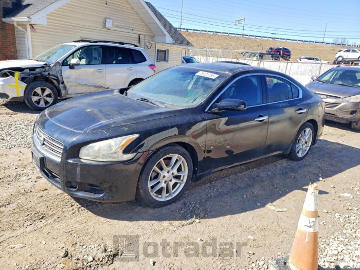 Nissan Maxima 2009 VIN 1N4AA51E09C858238